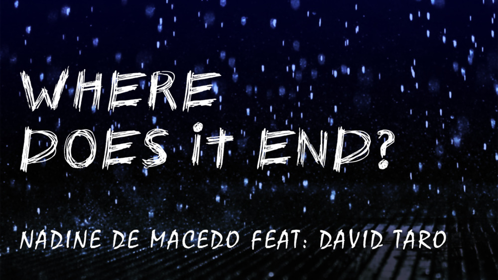 Nadine de Macedo feat. David Taro - Where does it end?