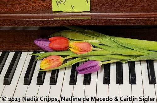 Nadia Cripps, Nadine de Macedo, Caitlin Sigler - Pay It Forward