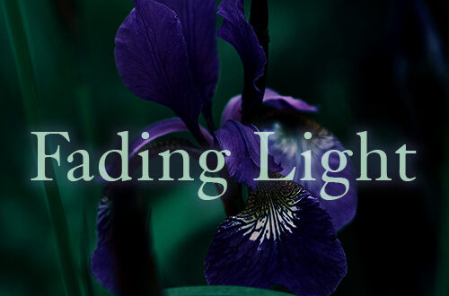 Nadine de Macedo & Michael Karns - Fading Light