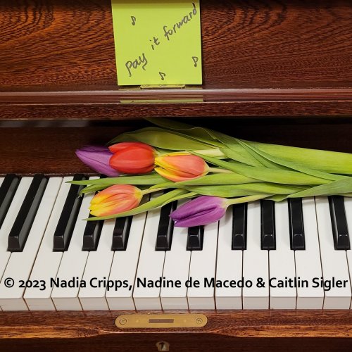 Nadia Cripps, Nadine de Macedo, Caitlin Sigler
- Pay It Forward